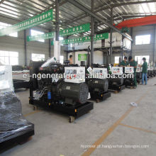 WEIFANG RICARDO Diesel Generating Set com baixo preço